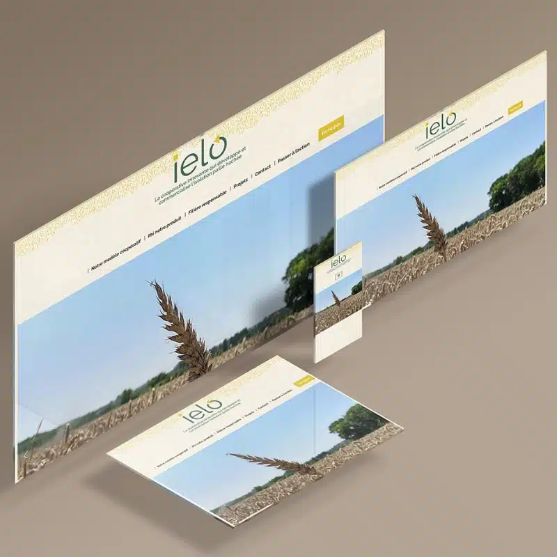 Site internet Ielo