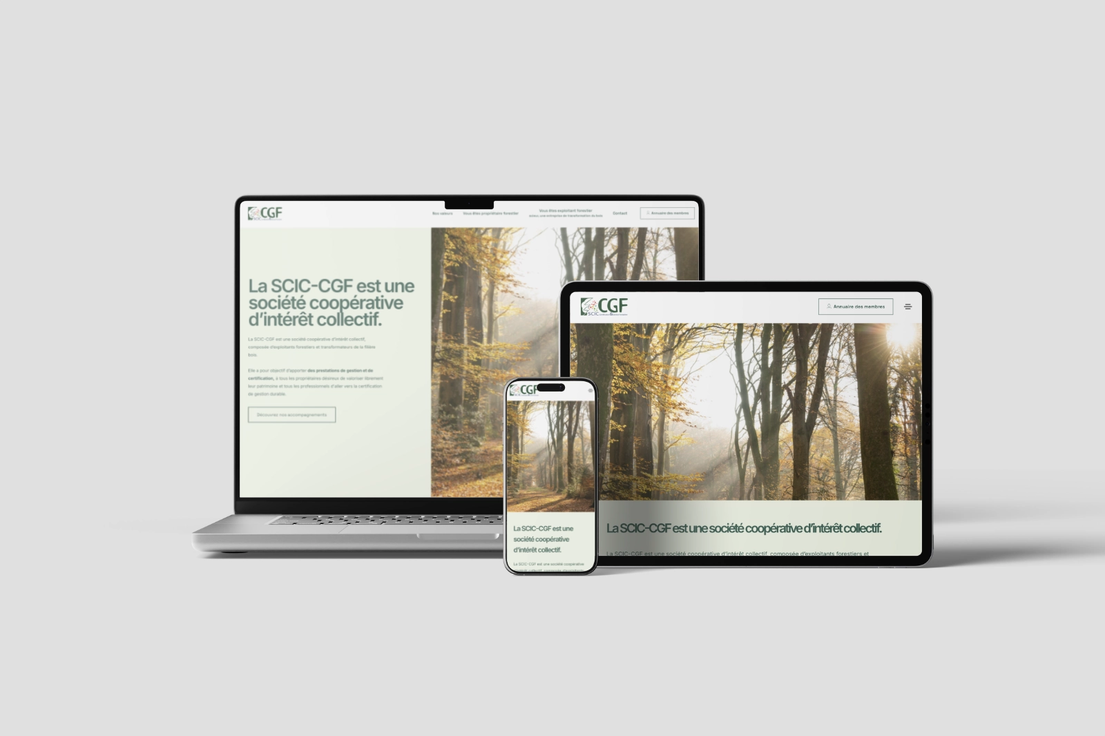 SCIC CGF — Site internet
